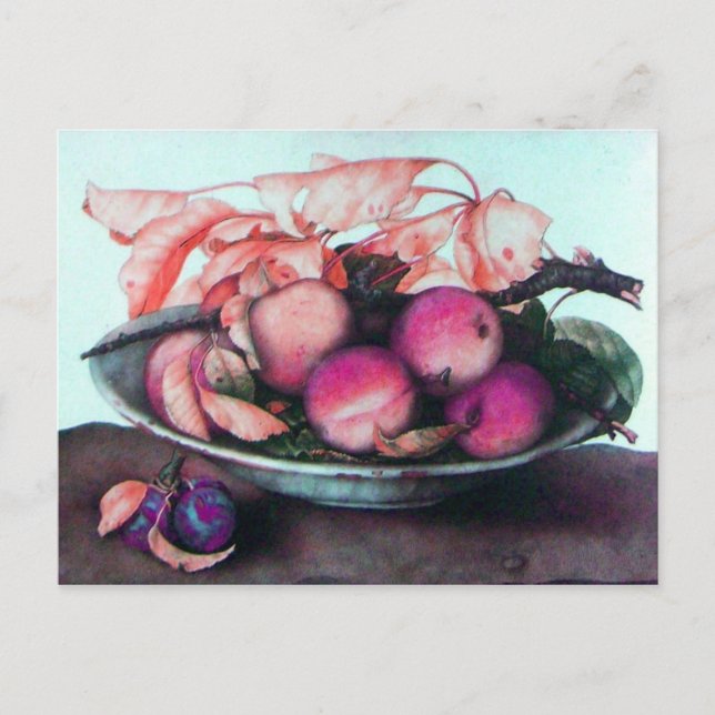 SEASONFRUKTER 2 VYKORT (Framsida)