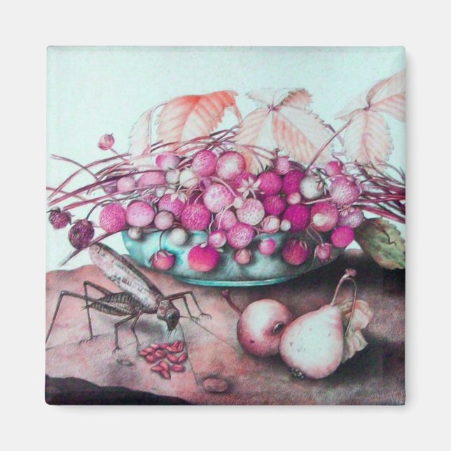 SEASONFRUKTER 3 MAGNET (Framsidan)