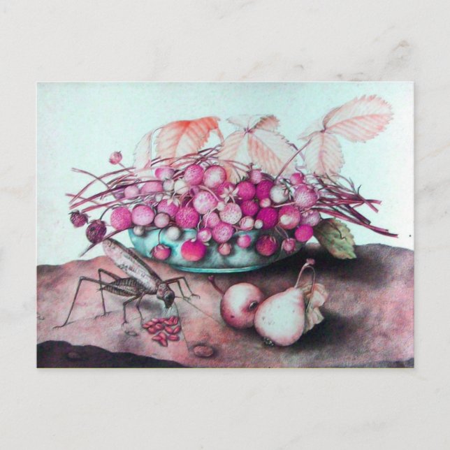 SEASONFRUKTER 3 VYKORT (Framsida)