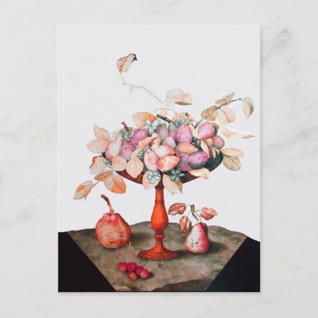 SEASONFRUKTER 5 VYKORT (Framsida)