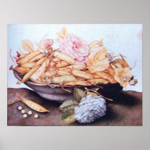 SEASONFRUKTER 6 - BANER OCH RO POSTER
