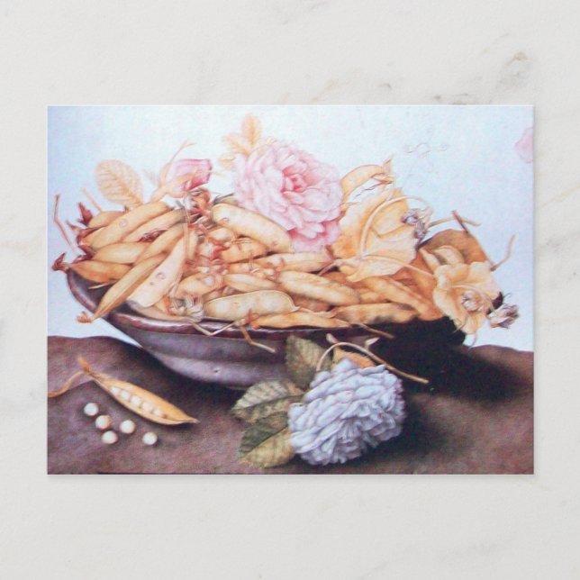 SEASONFRUKTER 6 - BANER OCH RO VYKORT (Framsida)