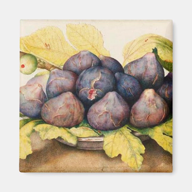 SEASONFRUKTER/PLATTA MED FIGS OCH GRÖNT LÖV MAGNET (Framsidan)