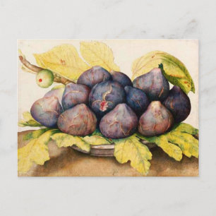 SEASONFRUKTER/PLATTA MED FIGS OCH GRÖNT LÖV VYKORT