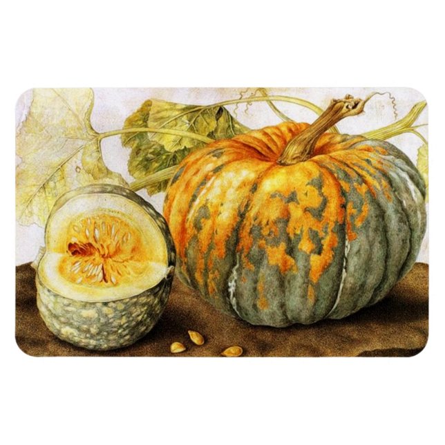 SEASONFRUKTER/PUMPKINER MAGNET (Horisontell)