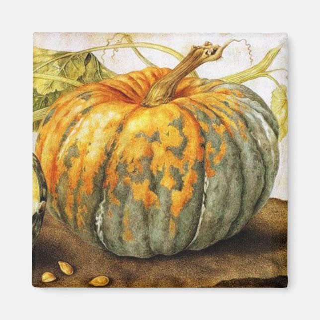 SEASONFRUKTER/PUMPKINER MAGNET (Framsidan)