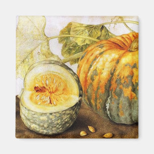 SEASONFRUKTER/PUMPKINER MAGNET