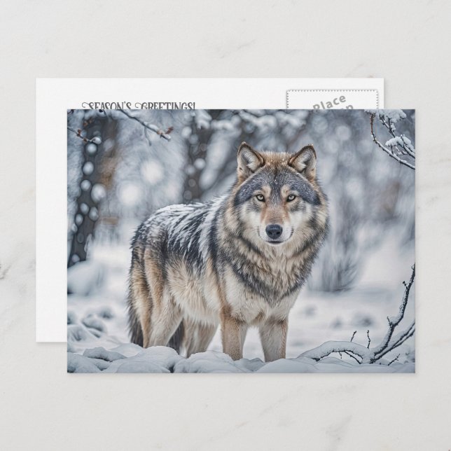 Seasons Greeting Christmas Wolf in Snow Helg Vykort (Fram/baksida)