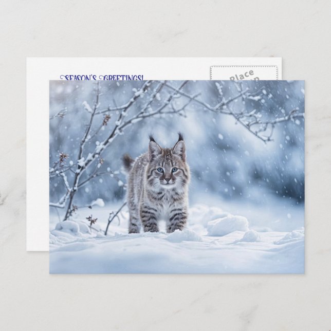 Seasons Greeting Holiday Bobcat Snow Helg Vykort (Fram/baksida)