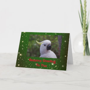 Seasons Hälsning Helgdag Card med Cockatoo Parrot Helgkort
