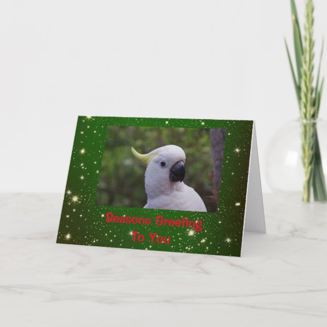 Seasons Hälsning Helgdag Card med Cockatoo Parrot Helgkort (Framsida)