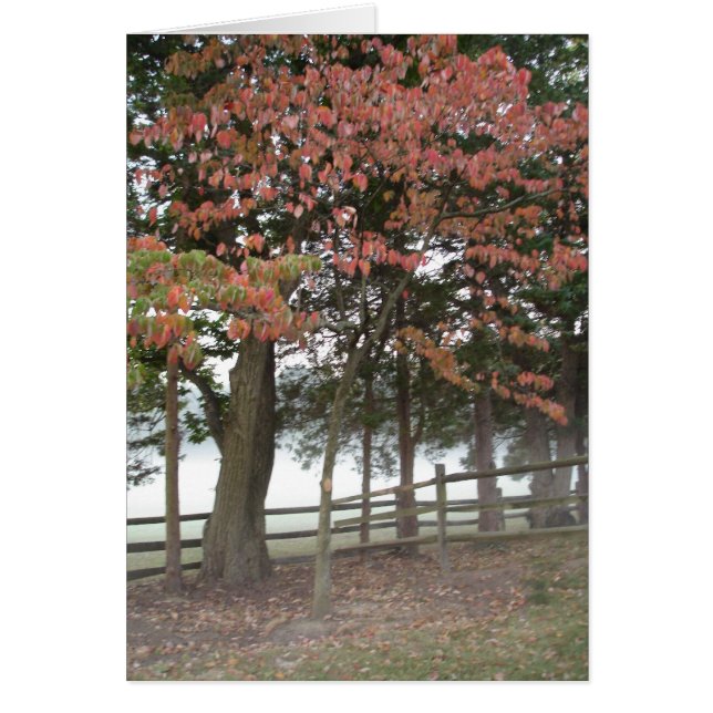 Seasons Hälsningskort (Framsidan)