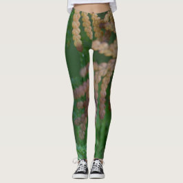 Seasons Leggings