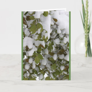 Seasons Meeting - Holly in Winter, Vår Thaw Helgkort