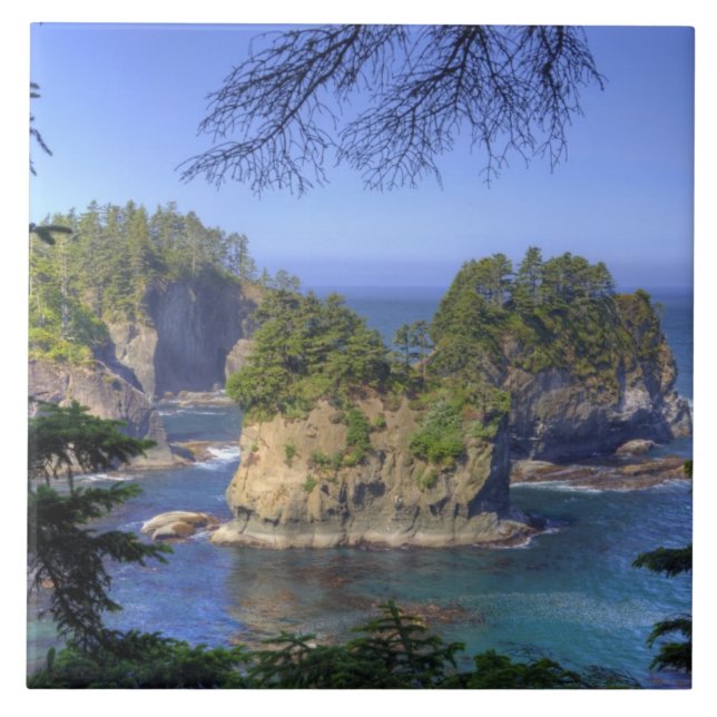 Seastacks, Makah Nation Tribal Lands, Cape Kakelplatta (Framsidan)