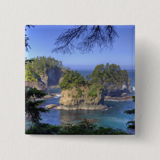 Seastacks, Makah Nation Tribal Lands, Cape Knapp (Framsida)