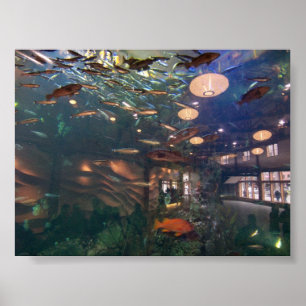 Seattle akvarium poster