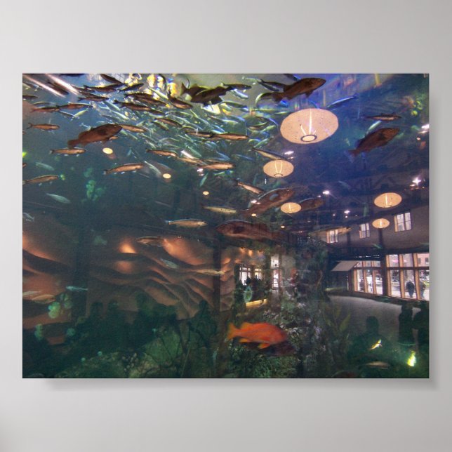 Seattle Aquarium Poster (Framsidan)