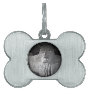 Seattle Fremont Troll Pet Tag Namnbricka Husdjur