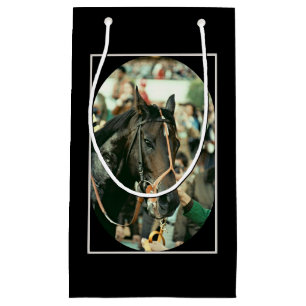 Seattle massaThoroughbred 1978