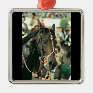 Seattle massaThoroughbred 1978 Julgransprydnad Metall