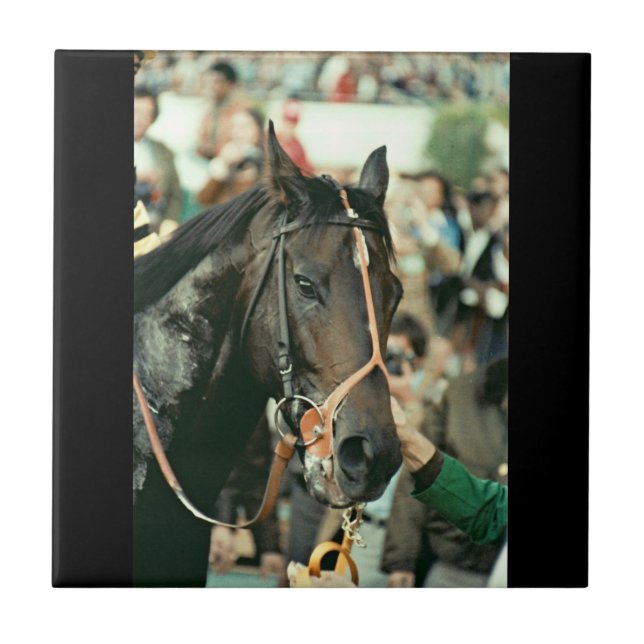 Seattle massaThoroughbred 1978 Kakelplatta (Framsidan)