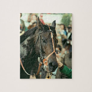 Seattle massaThoroughbred 1978 Pussel