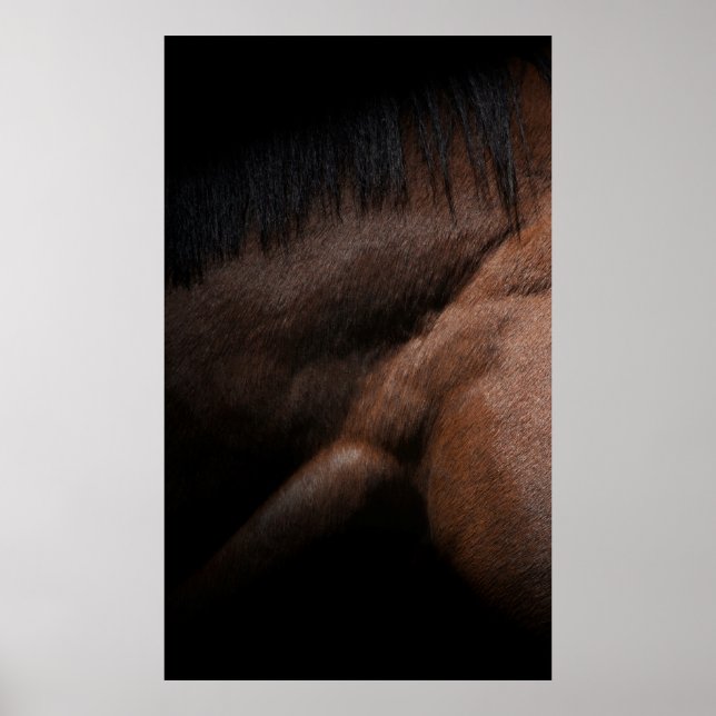 Seattle Poster (Framsidan)