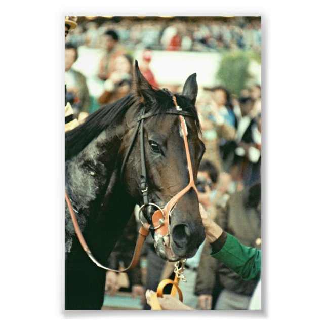 Seattle Slew Thoroughborn 1978 Fototryck (Framsidan)