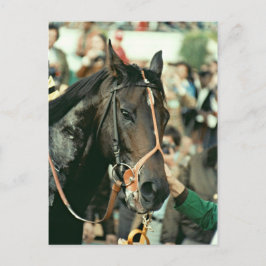 Seattle Slew Thoroughborn 1978 Vykort