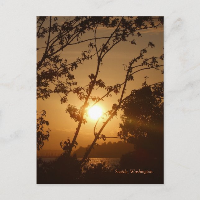Seattle Sunset Vykort (Framsida)