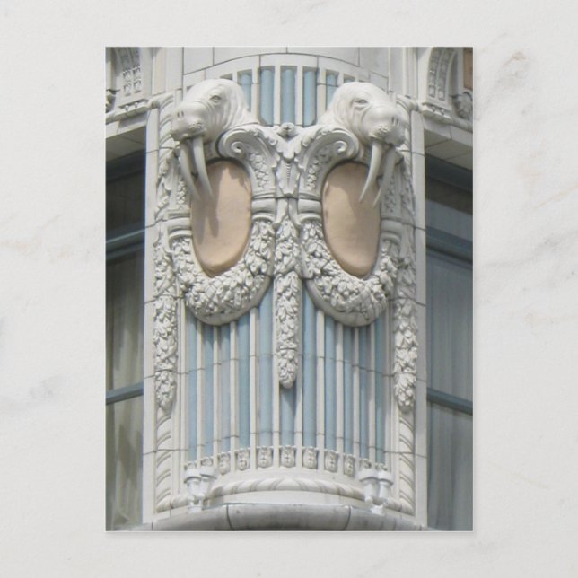 Seattle Walrus Vykort (Framsida)