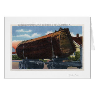 Seattle, WashingtonGiant Log på väg till Mill Hälsningskort