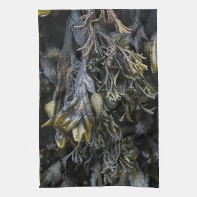 Seaweed. Kökshandduk (Vertikal)