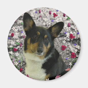 Sebastian den walesiska corgien i blommor magnet
