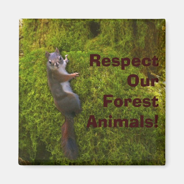 SEBASTIAN SQUIRREL Environmental Earth Day Magnet (Framsidan)