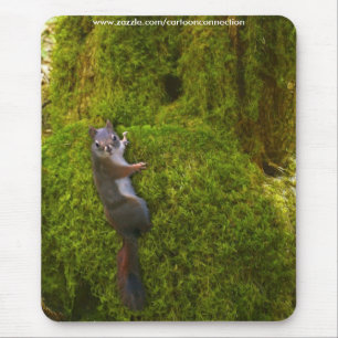 SEBASTIAN SQUIRREL KIDS-gåvor Musmatta