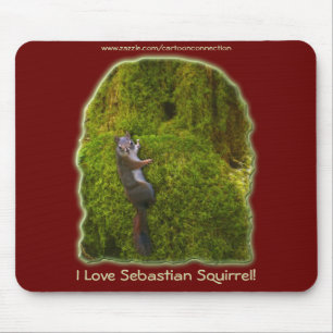 SEBASTIAN SQUIRREL KIDS-gåvor Musmatta