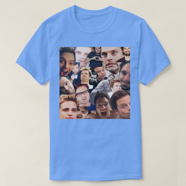 Sebastian Stan Perfection T Shirt (Design framsida)