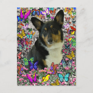 Sebastian the Welsh Corgi in Butterflies Vykort