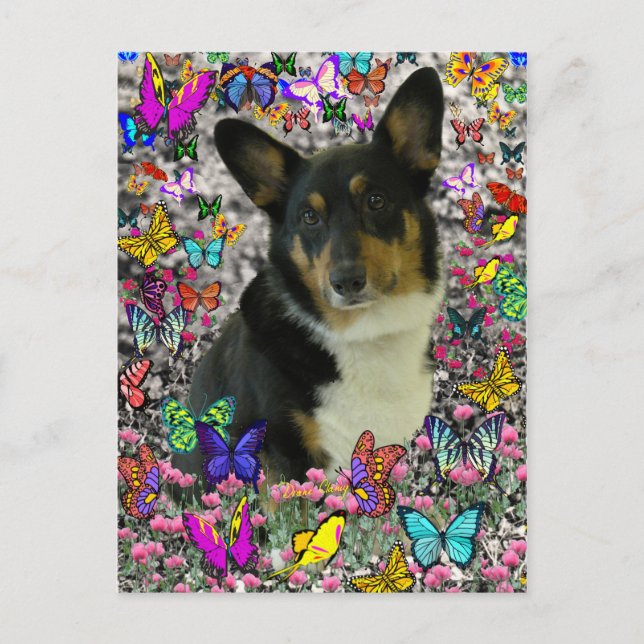 Sebastian the Welsh Corgi in Butterflies Vykort (Framsida)