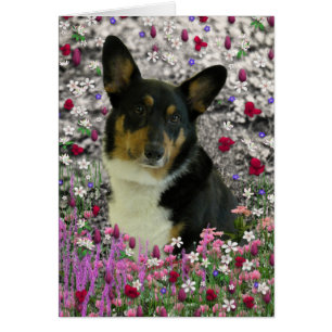 Sebastian the Welsh Corgi in Flowers Hälsningskort