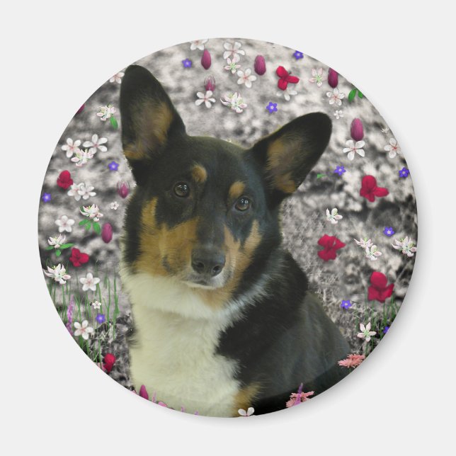 Sebastian the Welsh Corgi in Flowers Magnet (Framsidan)