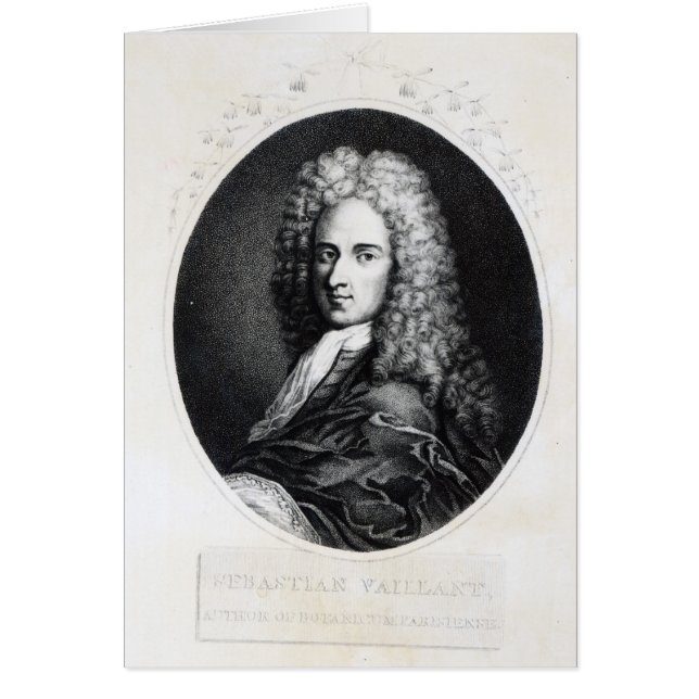 Sebastien Vaillant Hälsningskort (Framsidan)