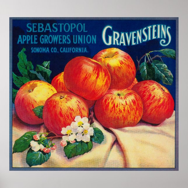 Sebastopol Gravensteins Apple LabelSonoma, CA Poster (Framsidan)