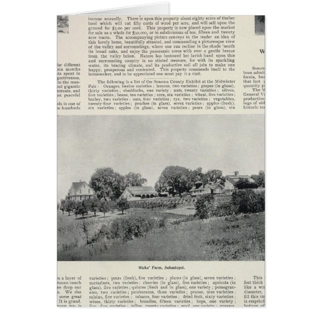 Sebastopol, Kalifornien Hälsningskort (Framsidan)