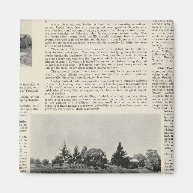 Sebastopol, Kalifornien Magnet (Framsidan)