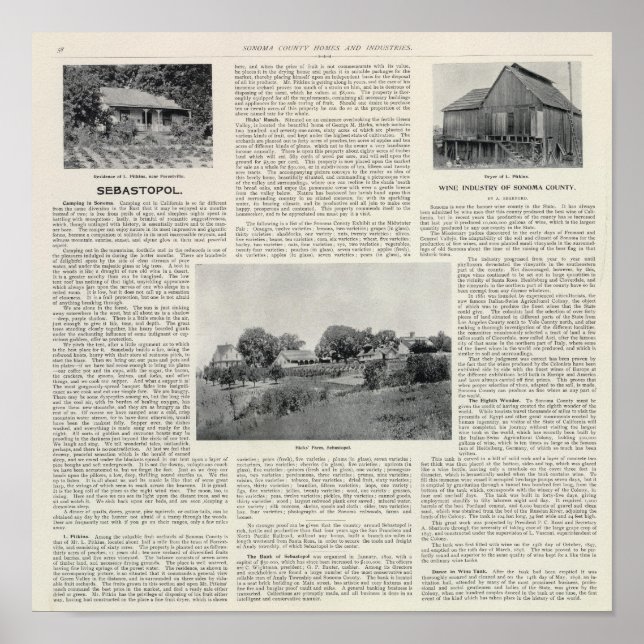 Sebastopol, Kalifornien Poster (Framsidan)