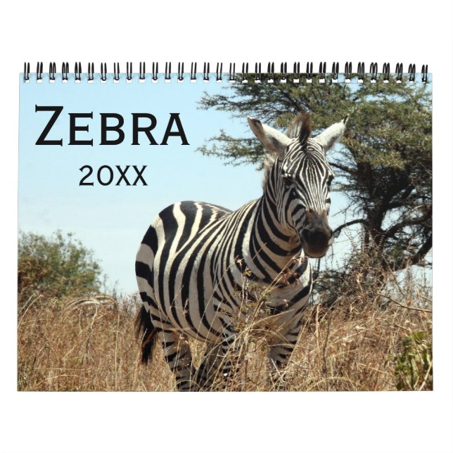 sebra 2027 kalender (Omslag)