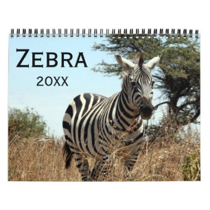 sebra 2027 kalender